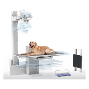 SALA MYVET I72W