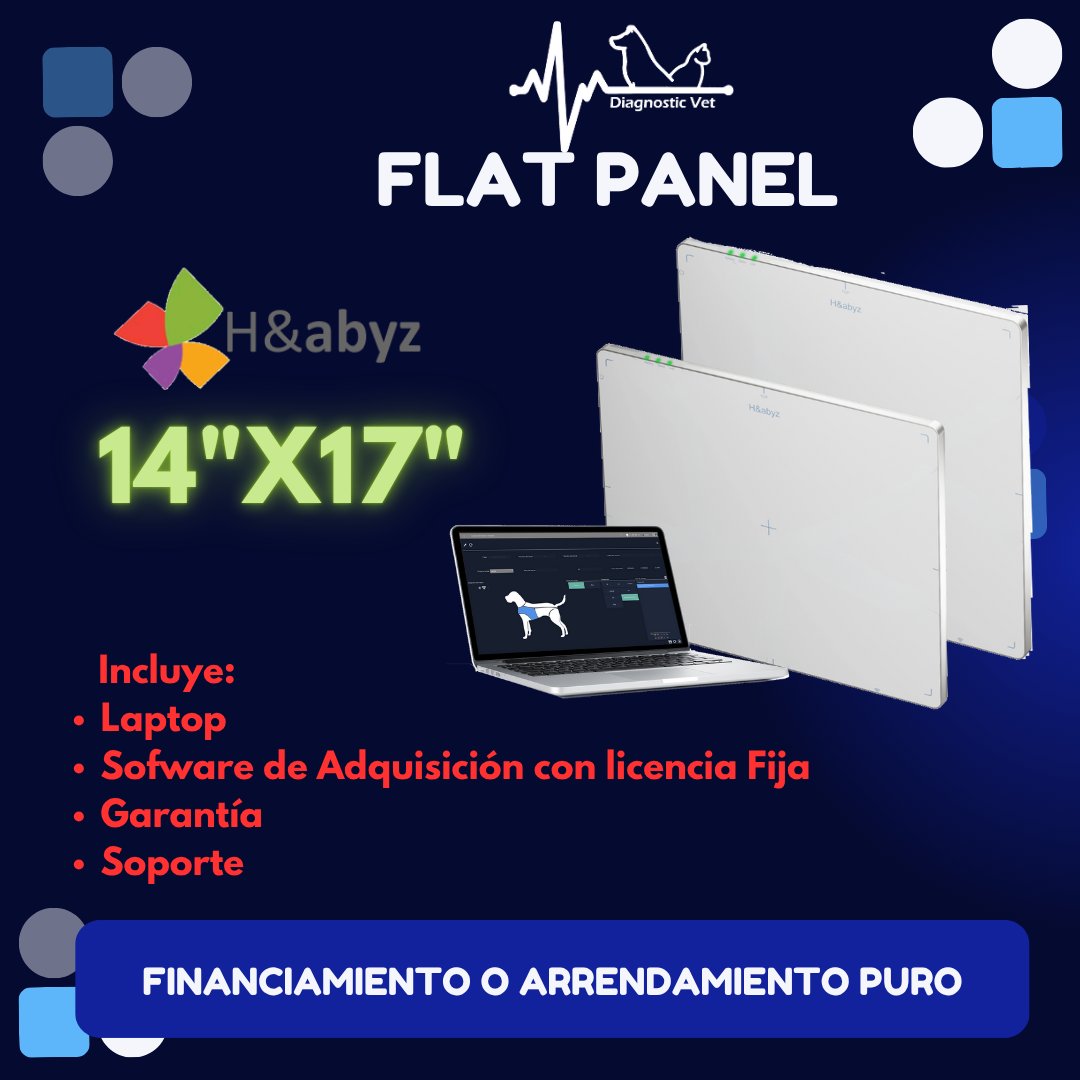 Flat Panel HnAbyz