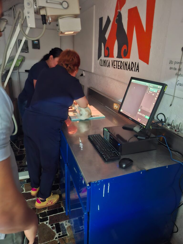 Imagen de WhatsApp 2025-10-02 a las 16.45.19_73438336