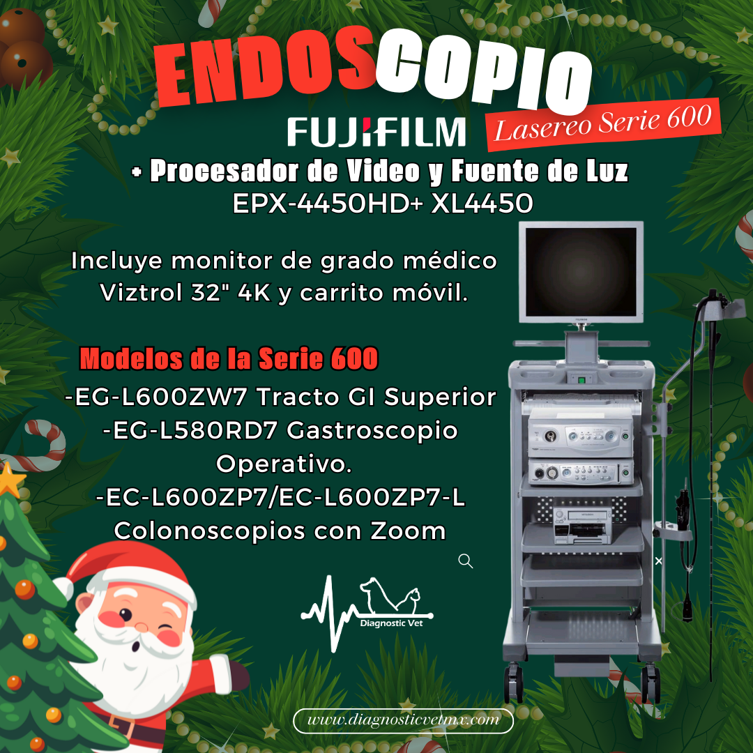 Post Instagram Mensaje de Navidad Ilustrado Navideño Rojo (3)