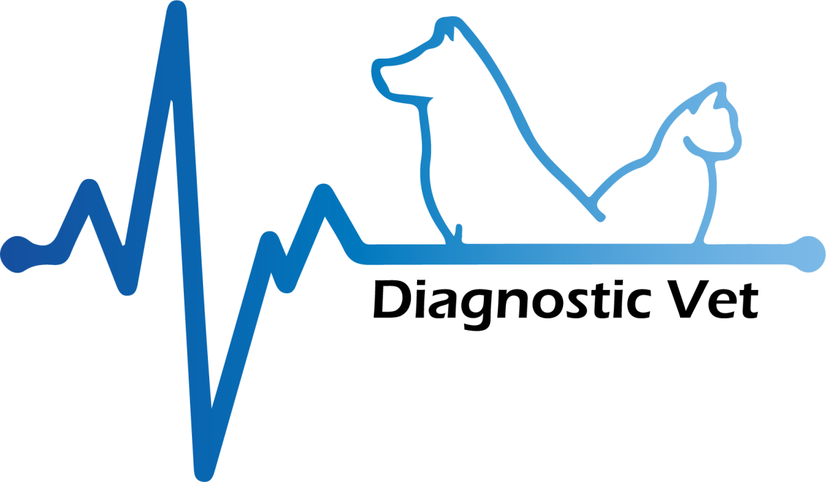 DIAGNOSTIC VET PNG