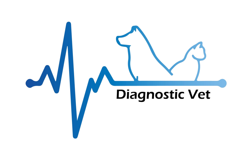 Diagnostic vet logo